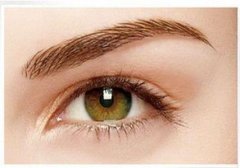 ���ͺ��������t(y��)Ժ�����a(b��)ü���Õ�(hu��)��Ȼ��