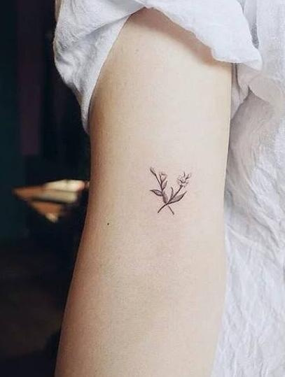 ����ϴ�y����ʲô����������