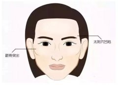 ���ͺ����������w֬���S̫�Ѩ��Ҫ�״���