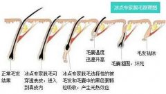 ����ÓҸë�����w�ź��к�̎��?