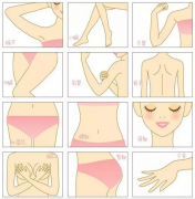 ����Óë���(hu��)����(hu��)���L(zh��ng)��