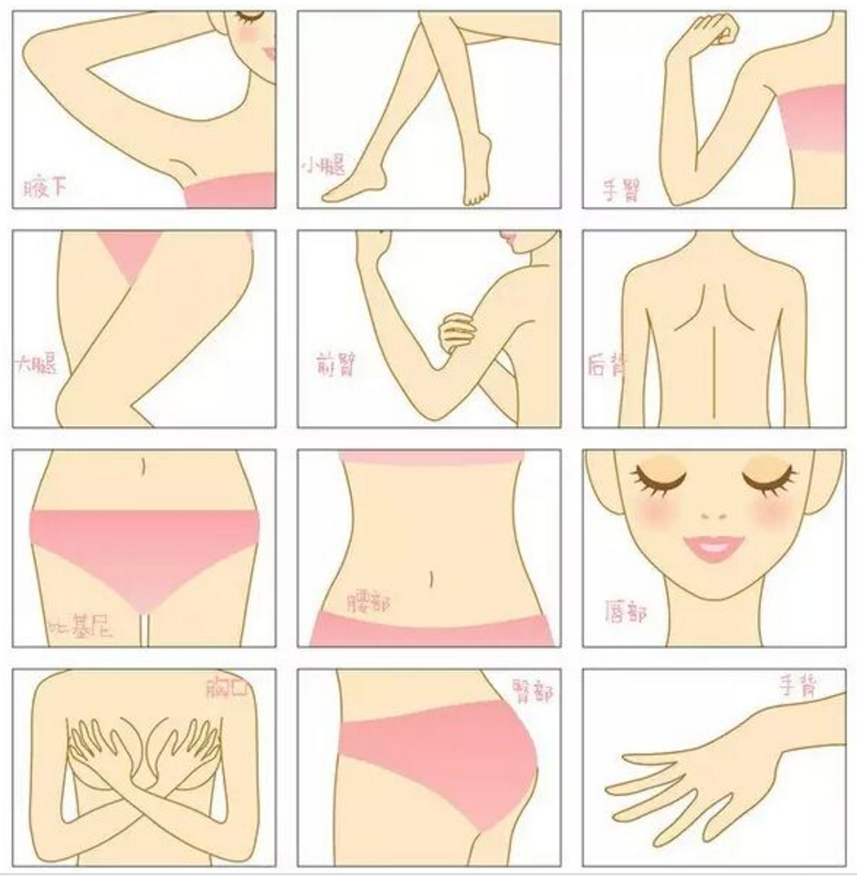 ����Óë����������L