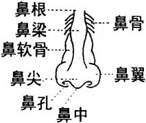 ���������^�sС���g(sh��)�ۆ���