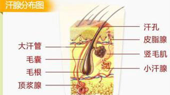 呼市整形醫(yī)院