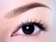 �y�۾�(xi��n)��(hu��)��ɫ�᣿