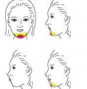 ���w�|�°�Ч���ܾS�ֶ��L�r�g�أ�