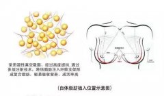 �S�����Ε�(hu��)����(hu��)�а�ȫ�[������