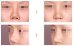 ������ǳC������ЩΣ����